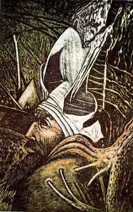 Verjuengungsprozedur